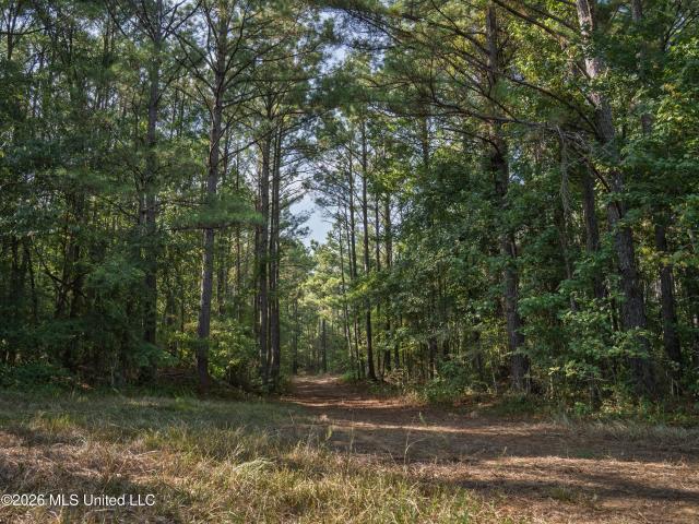 Land for sale in Pickens, Mississippi