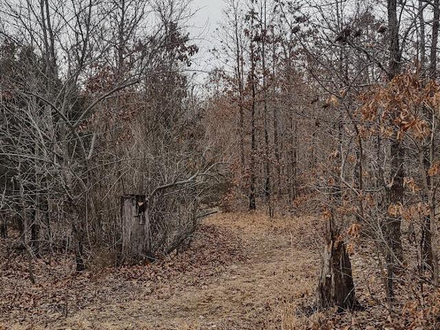 House for sale in Niangua, Missouri