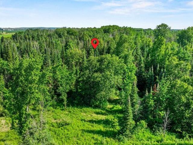 Land for sale in Forestville, Wisconsin