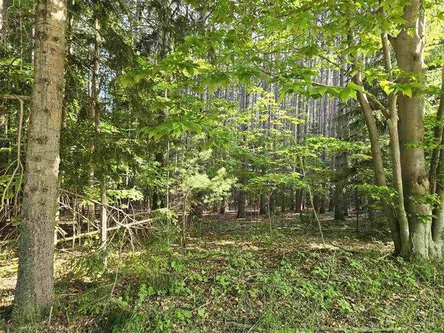 Land for sale in East Jordan, Michigan