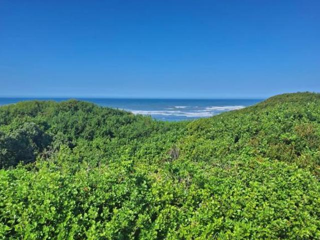 Land for sale in Cape St Francis, Eastern Cape