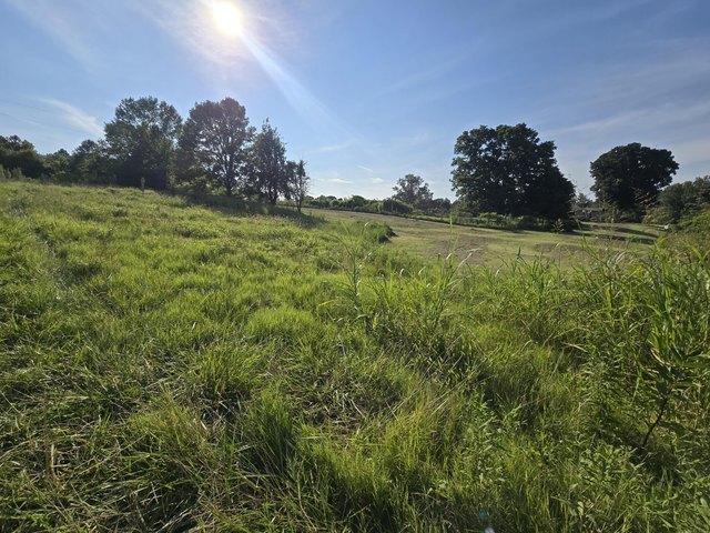 Land for sale in Fredonia, Kentucky