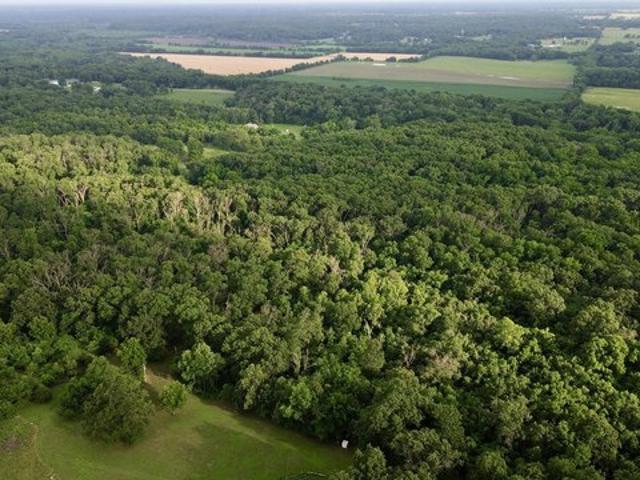 Land for sale in Carthage, Missouri