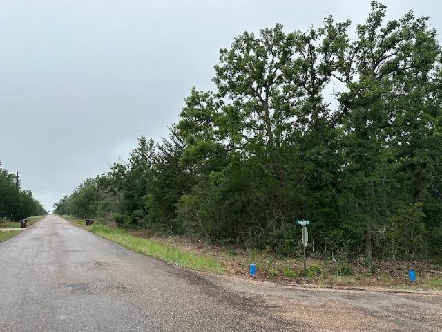 Land for sale in Somerville, Texas