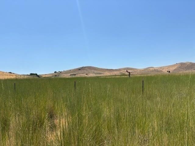 Land for sale in Montague, Siskiyou County