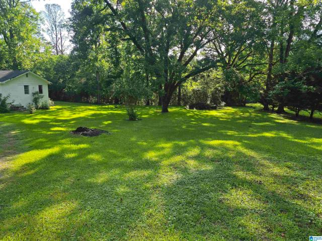 House for sale in Coosa, Alabama