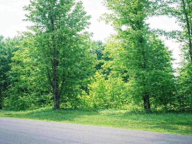 Land for sale in Petoskey, Michigan
