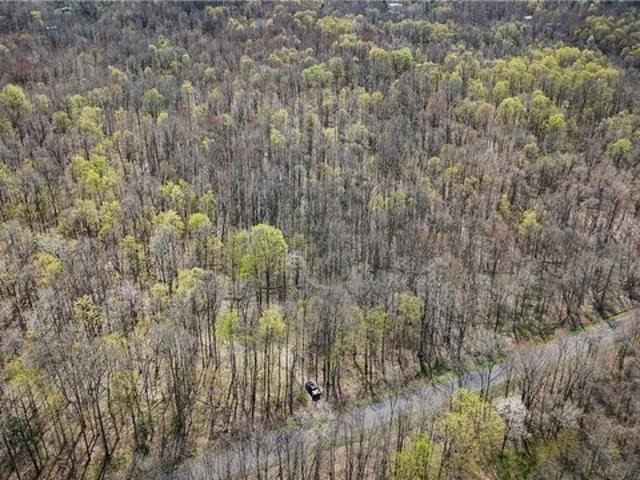 Land for sale in Cayuga, New York