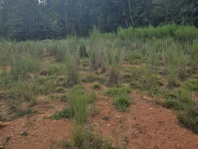 Land for sale in Covington, Newton County