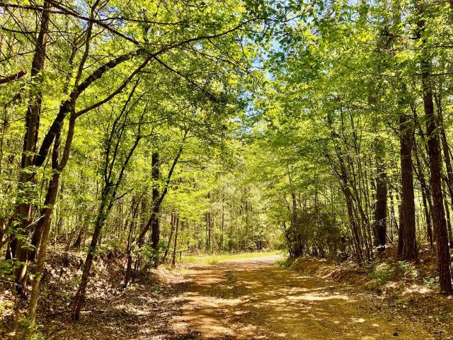 Land for sale in Minden