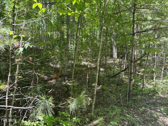 Land for sale in Tennessee