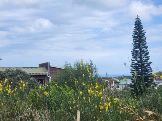 Land for sale in Cape St Francis, Eastern Cape