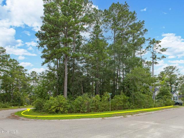 Land for sale in Bolivia, Brunswick County
