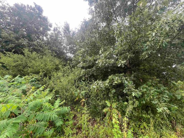 Land for sale in Ark