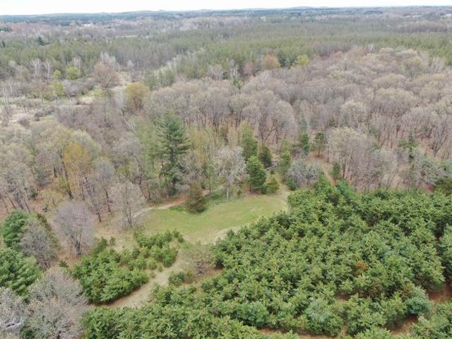 Land for sale in Neshkoro, Wisconsin