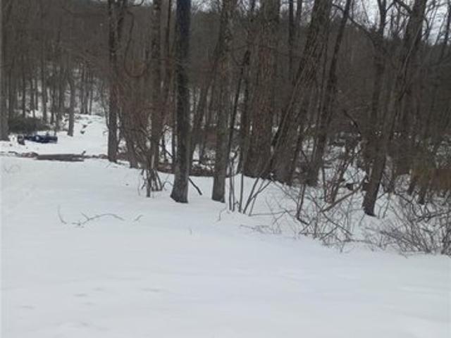 Land for sale in Bartonsville, Pennsylvania