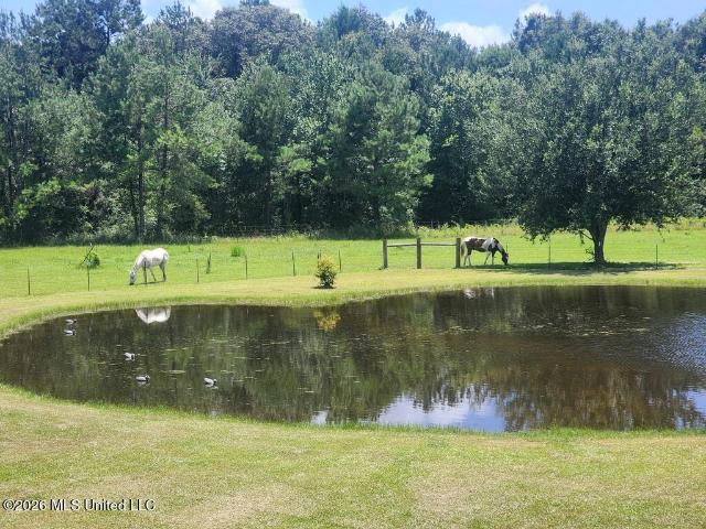 House for sale in Poplarville, Pearl River County