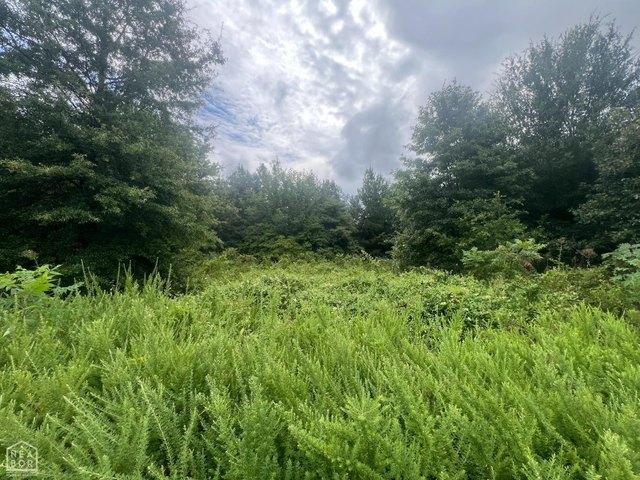 Land for sale in Ark