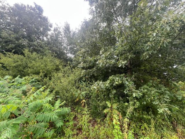 Land for sale in Ark