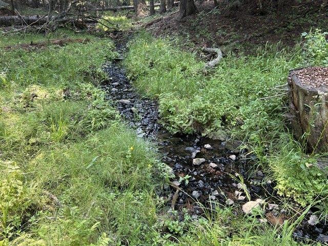 Farm for sale in Grangeville, Idaho