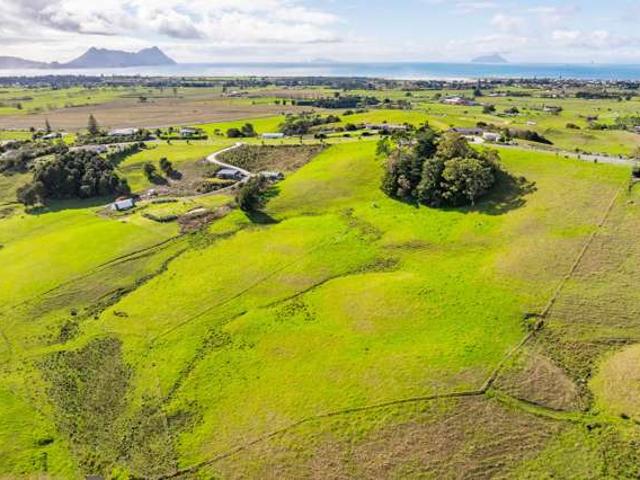 Land for sale in Northland