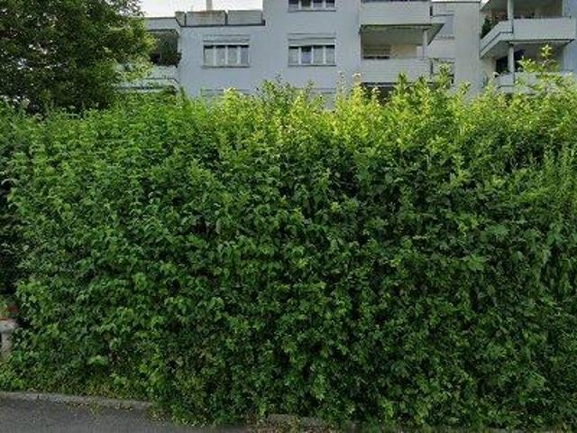 Apartment mieten in Oberentfelden, Aargau