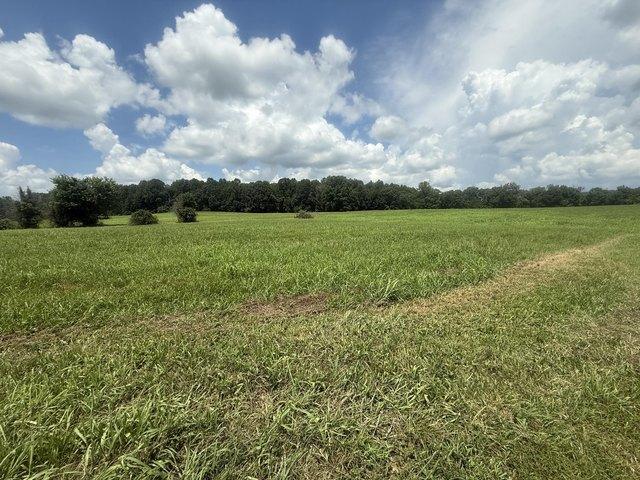 Land for sale in Jamestown, Kentucky