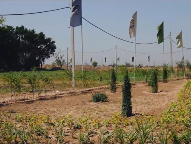 Land for sale in Hariana