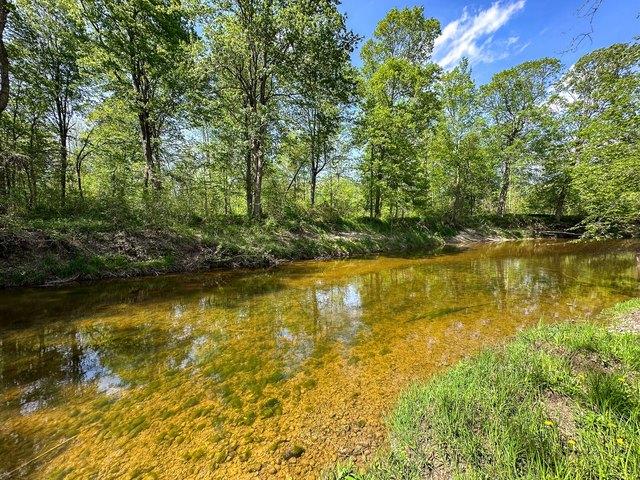 Land for sale in Coleman, Michigan