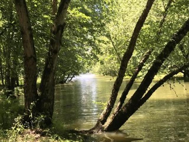 Land for sale in Cadiz, Kentucky