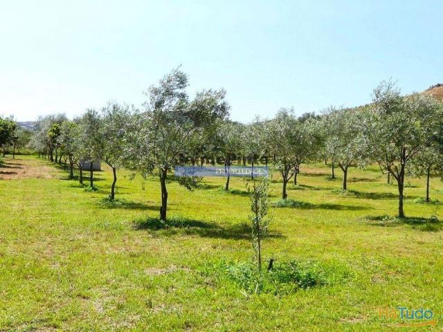 Terreno venda em Alfândega Da Fé, Bragança