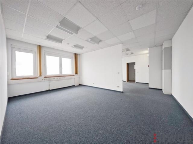 Gewerbe mieten in Wiener Neudorf, Niederösterreich