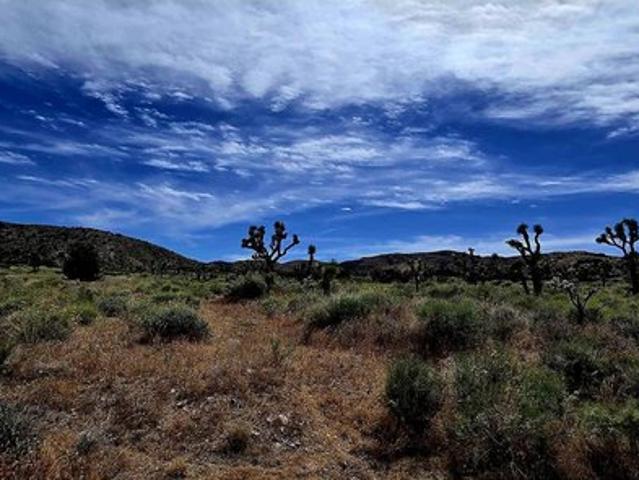 Land for sale in Littlerock, California