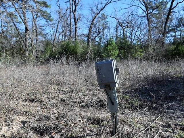 Land for sale in Grapeland, Texas