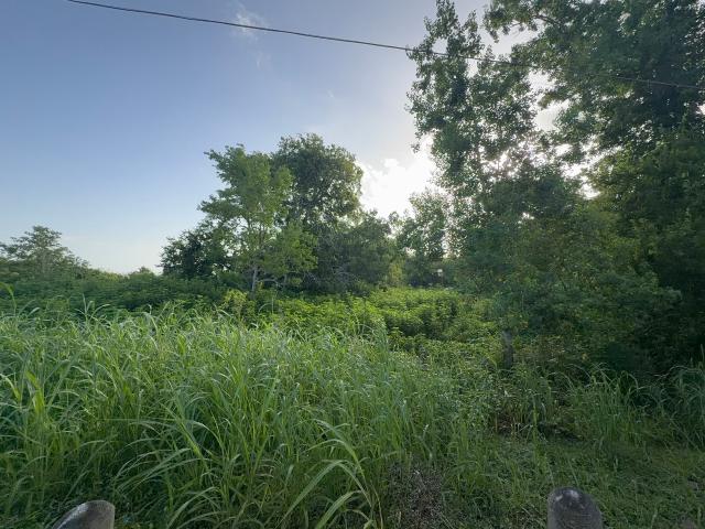 Land for sale in Santa Fe, Texas