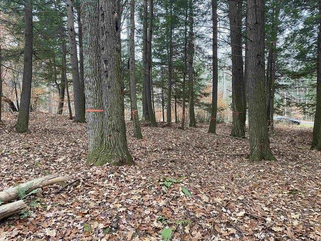 Land for sale in Plantsville, Vermont