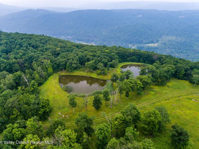 House for sale in Austerlitz, New York