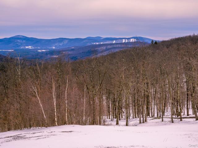 House for sale in Austerlitz, New York