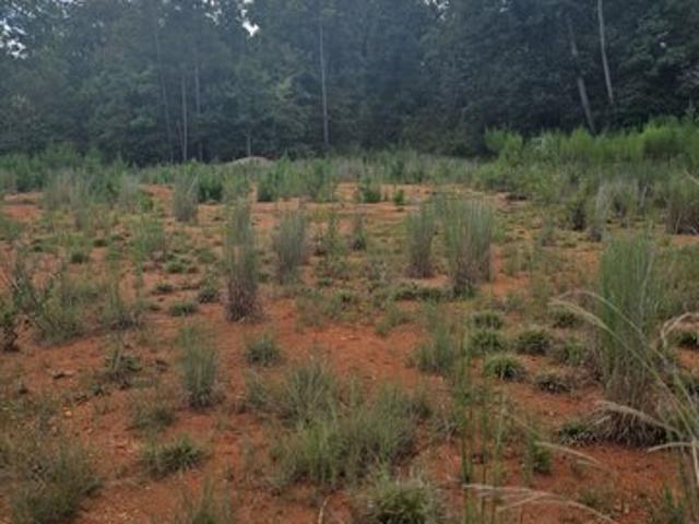 Land for sale in Covington, Newton County