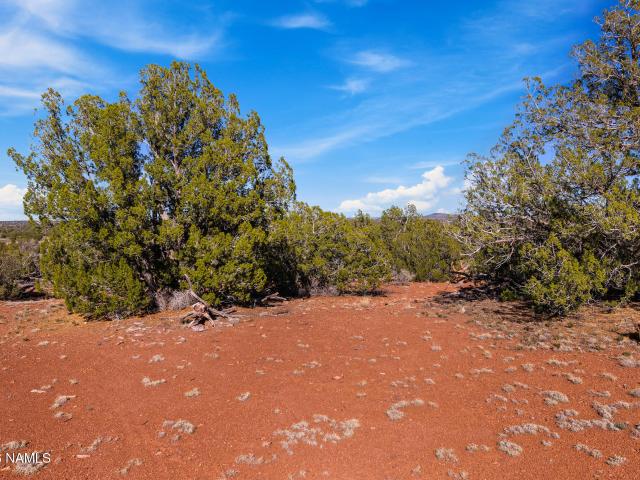 Land for sale in Williams, Arizona