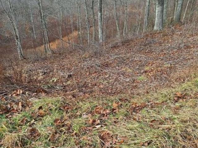 Land for sale in Boyd, Kentucky