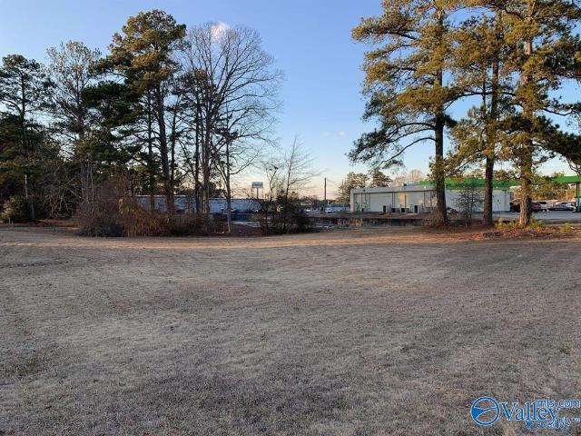 Land for sale in Albertville, Alabama