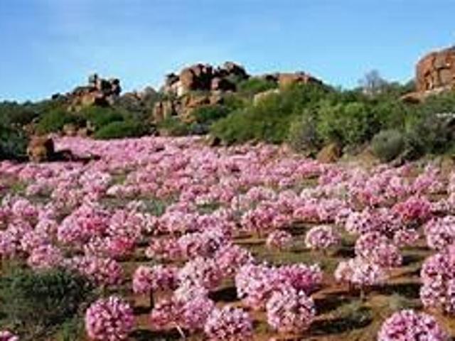 Land for sale in Hantam, Northern Cape