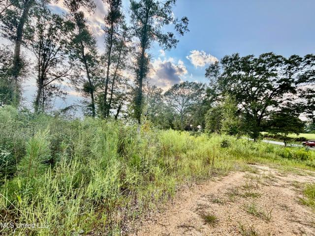 Land for sale in Tylertown, Mississippi