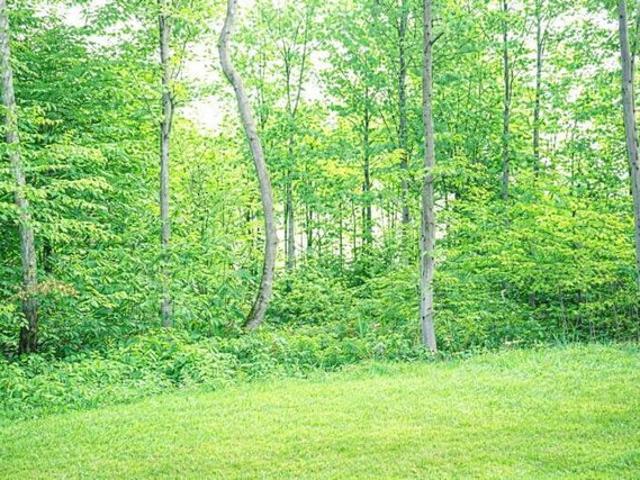 Land for sale in Petoskey, Michigan