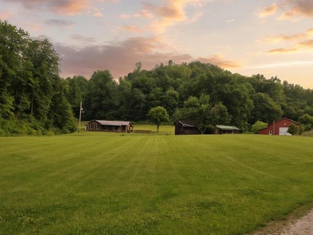 House for sale in Lesage, West Virginia