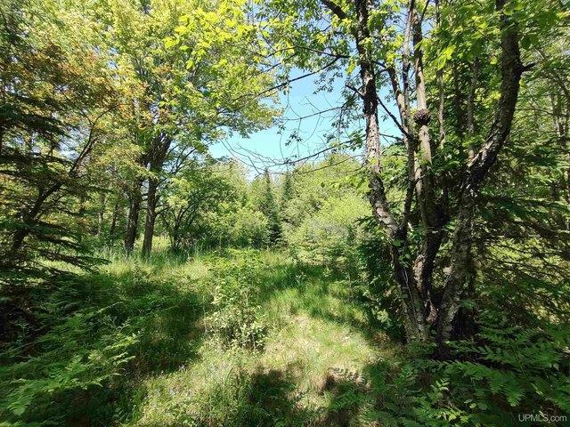 Land for sale in Au Train, Michigan