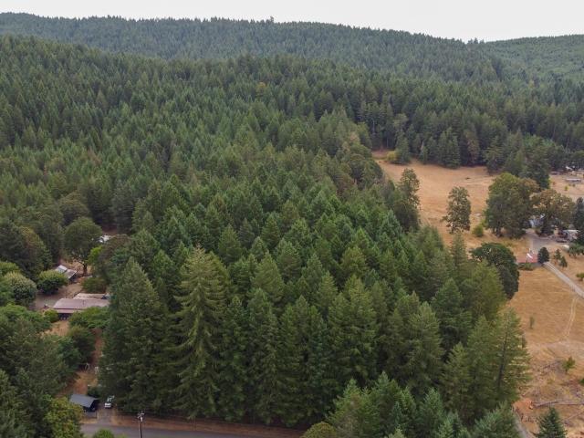 Land for sale in Elmira, Lane County