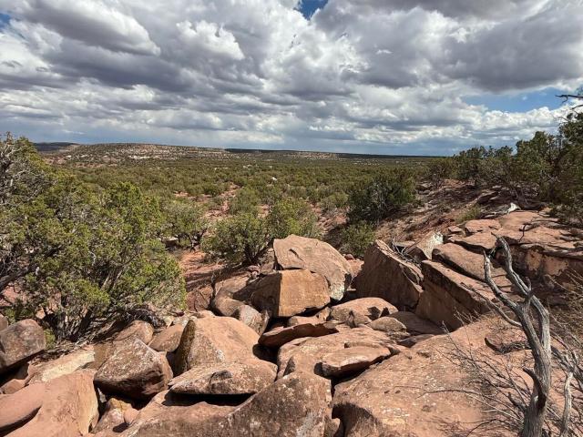 House for sale in Navajo, Arizona