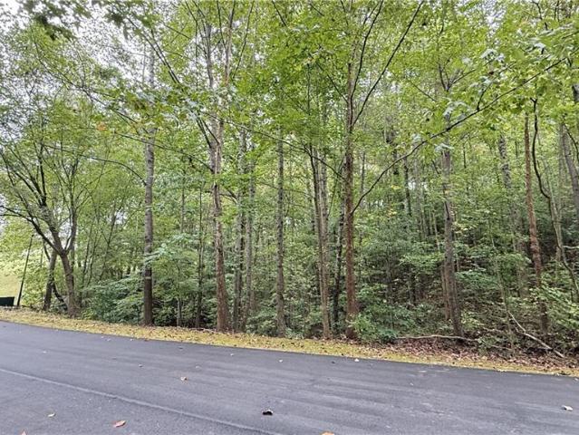 Land for sale in Ball Ground, Forsyth County